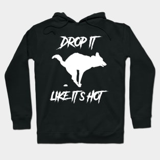 Drop It Like Its Hot Funny Dog Shirt Hoodie